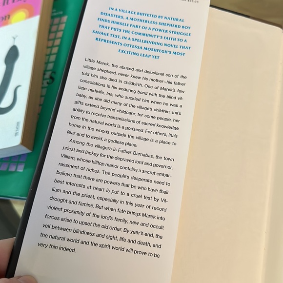 Lapvona by Ottessa Moshfegh (Hardcover) - Picture 2 of 4